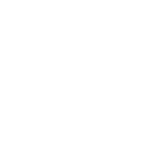 Protected&Proud logo whiteout